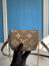 Load image into Gallery viewer, Louis Vuitton Mini Bumbag