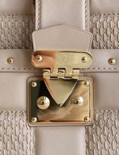 Load image into Gallery viewer, Louis Vuitton Troca MM Bag