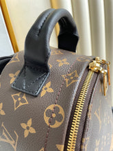 Load image into Gallery viewer, Louis Vuitton Palm Spring PM Bag