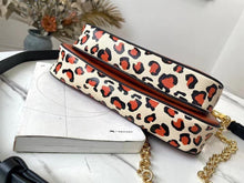 Load image into Gallery viewer, Louis Vuitton Multi Pochette Accessories Bag