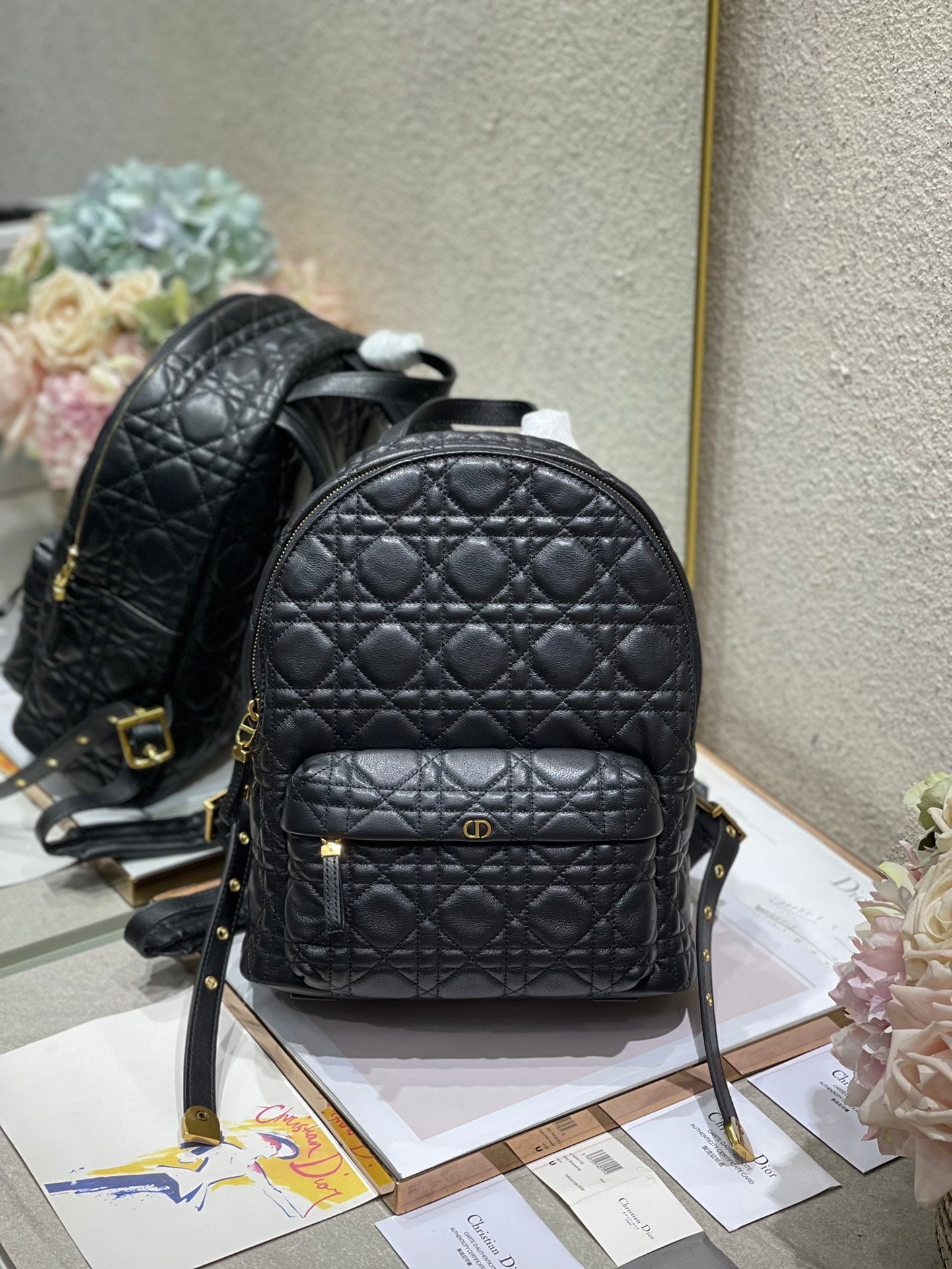 christian louis vuitton backpack Christian Dior Backpack