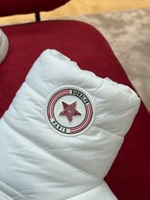 Load image into Gallery viewer, Christian Dior Frost Ankle Boots