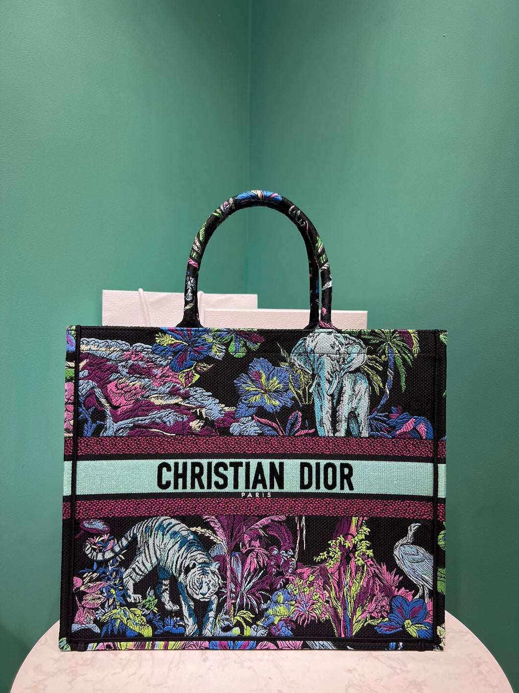 Christian Dior Book Tote Bag