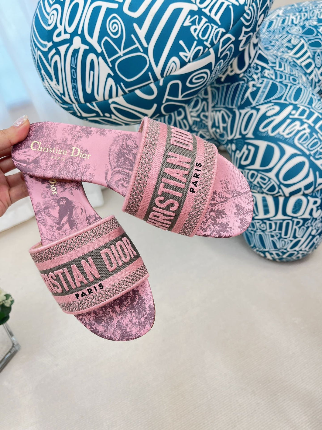 Christian Dior Dway Slide