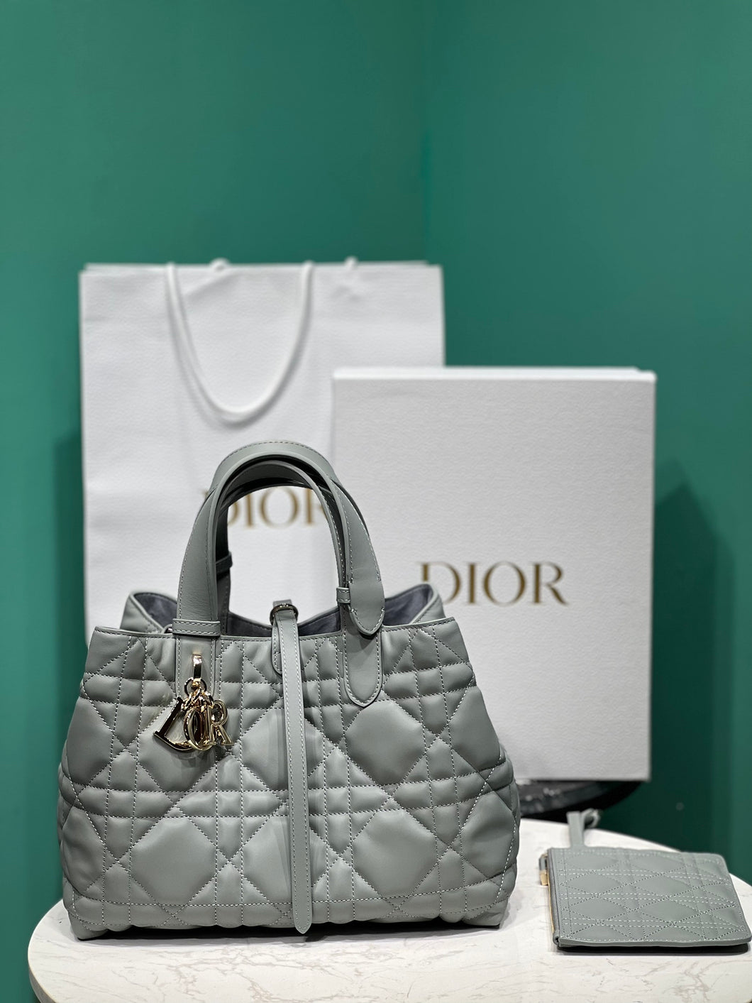 Christian Dior Medium Toujours Bag