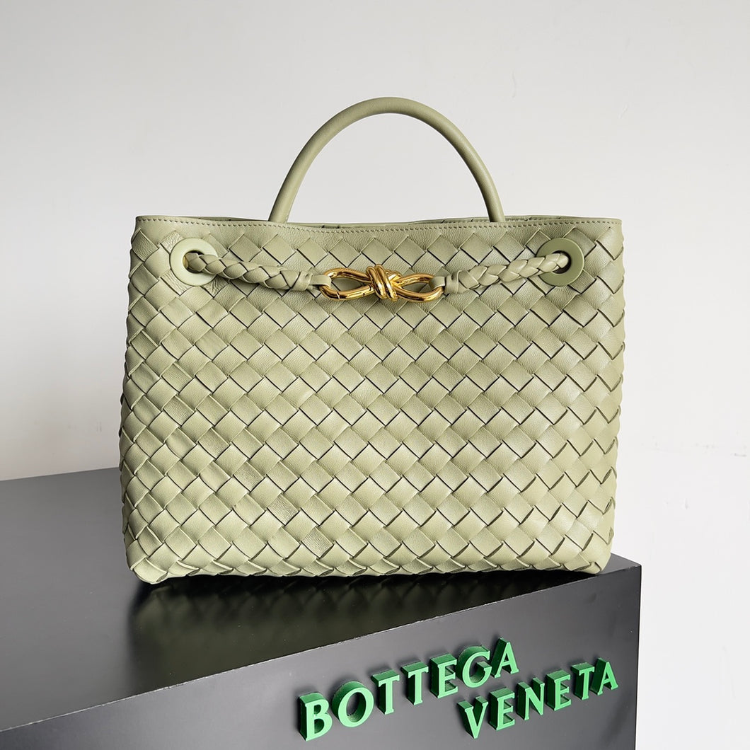 Bottega Veneta Andiamo Bag
