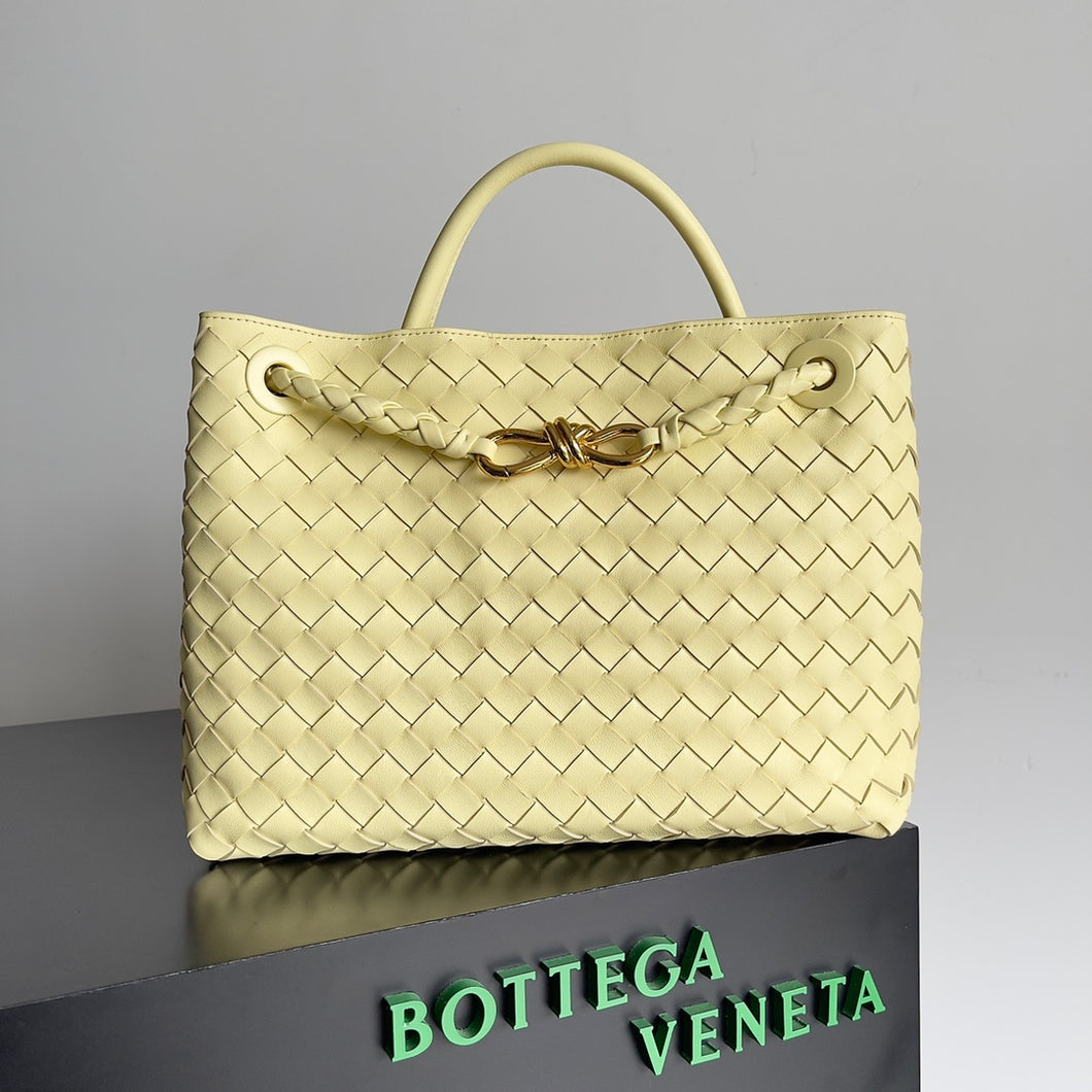 Bottega Veneta Andiamo Bag