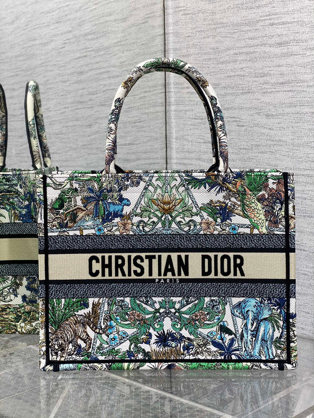 Christian Dior Book Tote Bag
