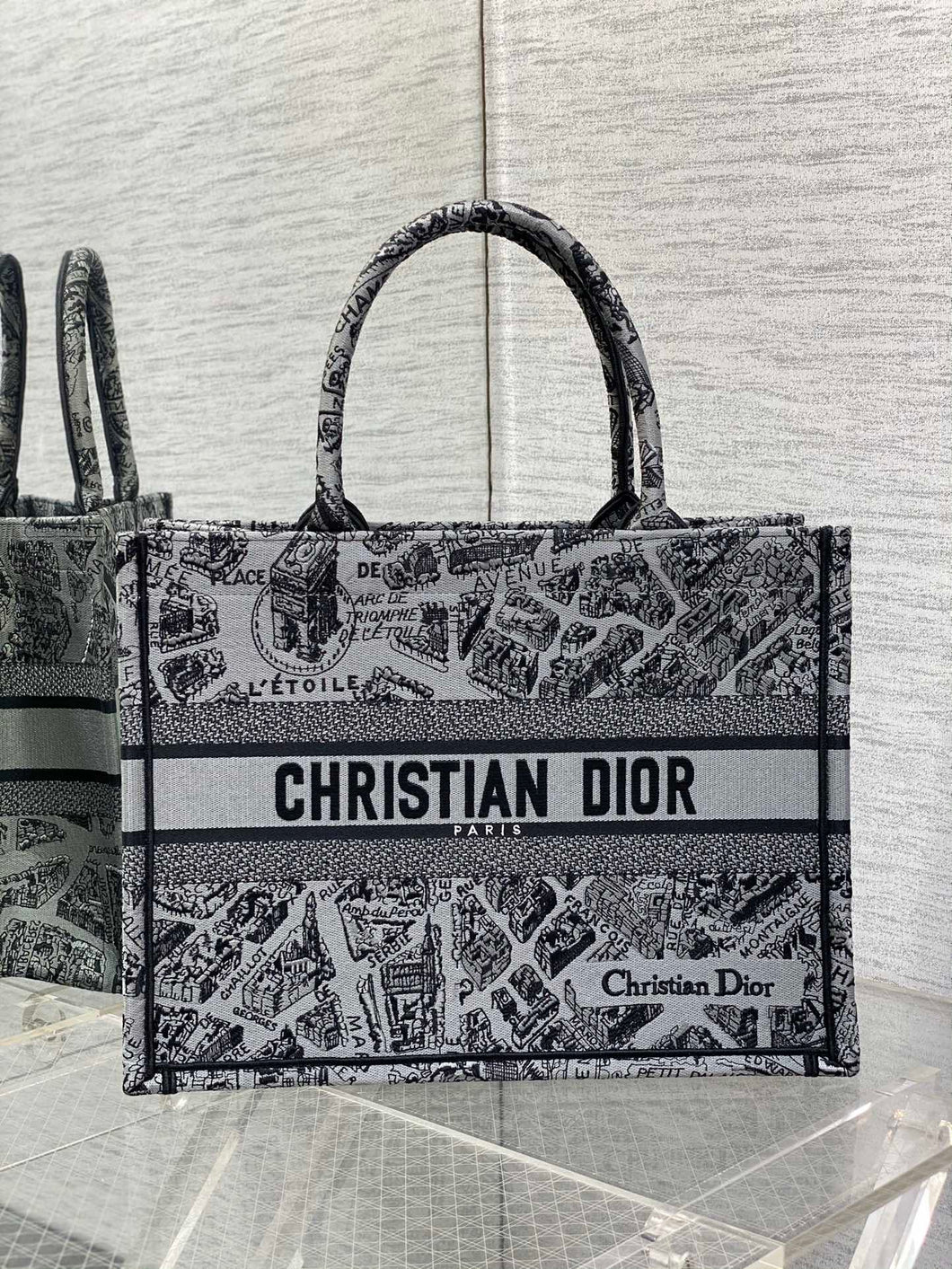 Christian Dior Book Tote Bag