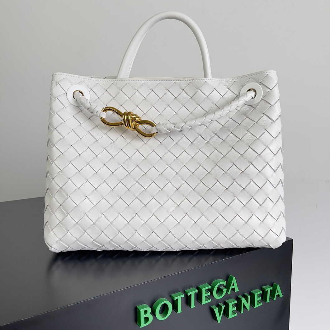 Bottega Veneta Andiamo Bag