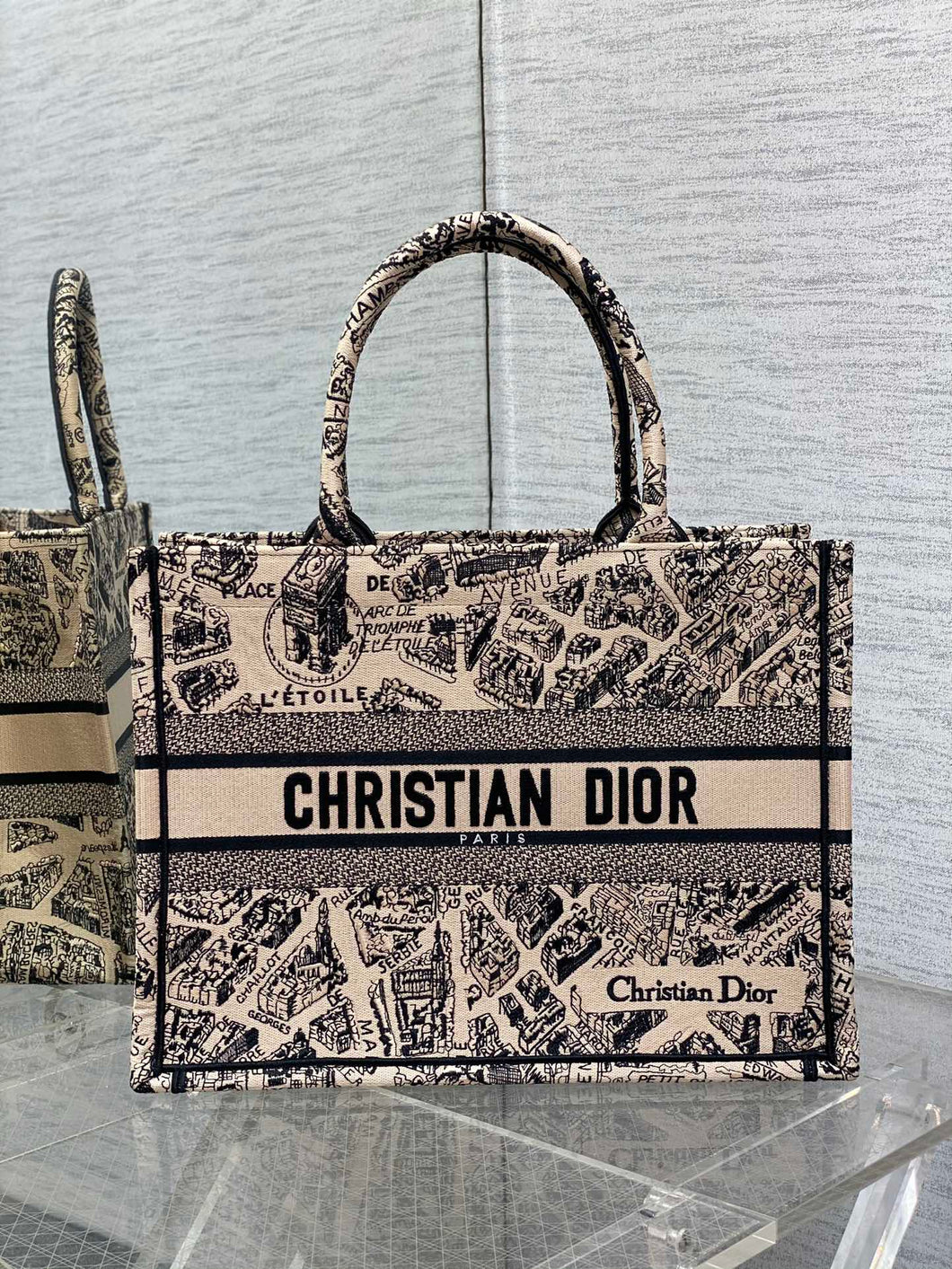 Christian Dior Book Tote Bag
