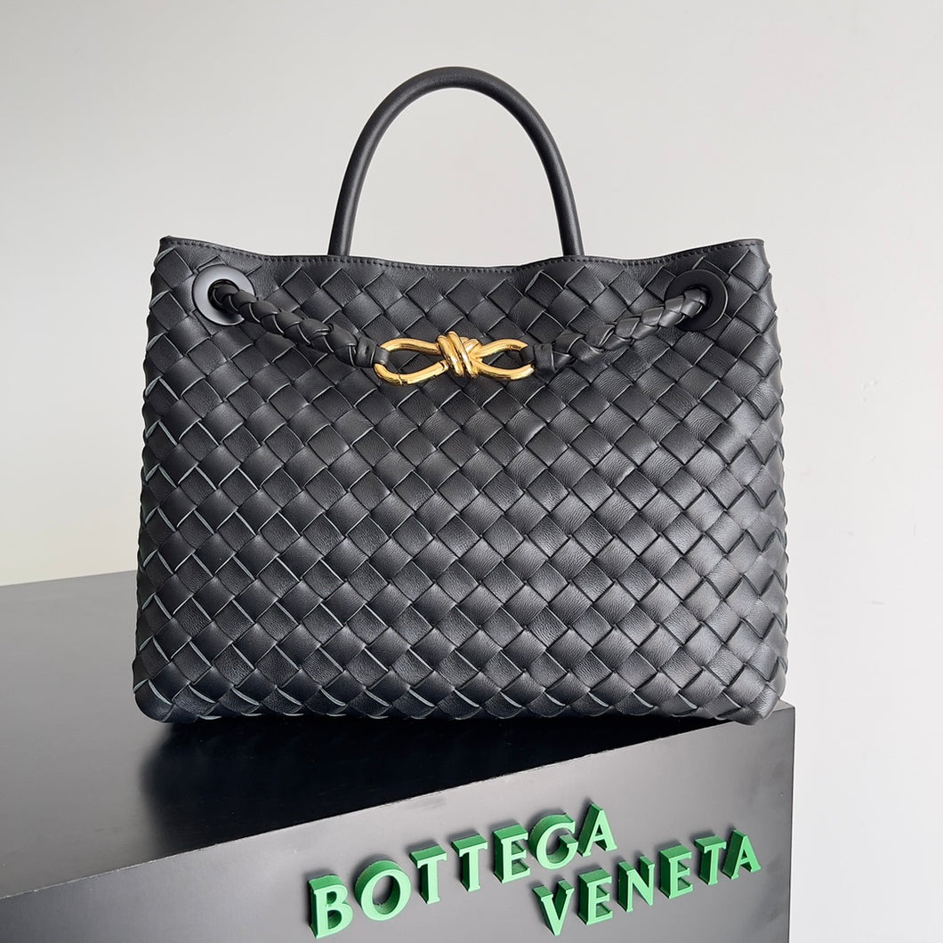 Bottega Veneta Andiamo Bag