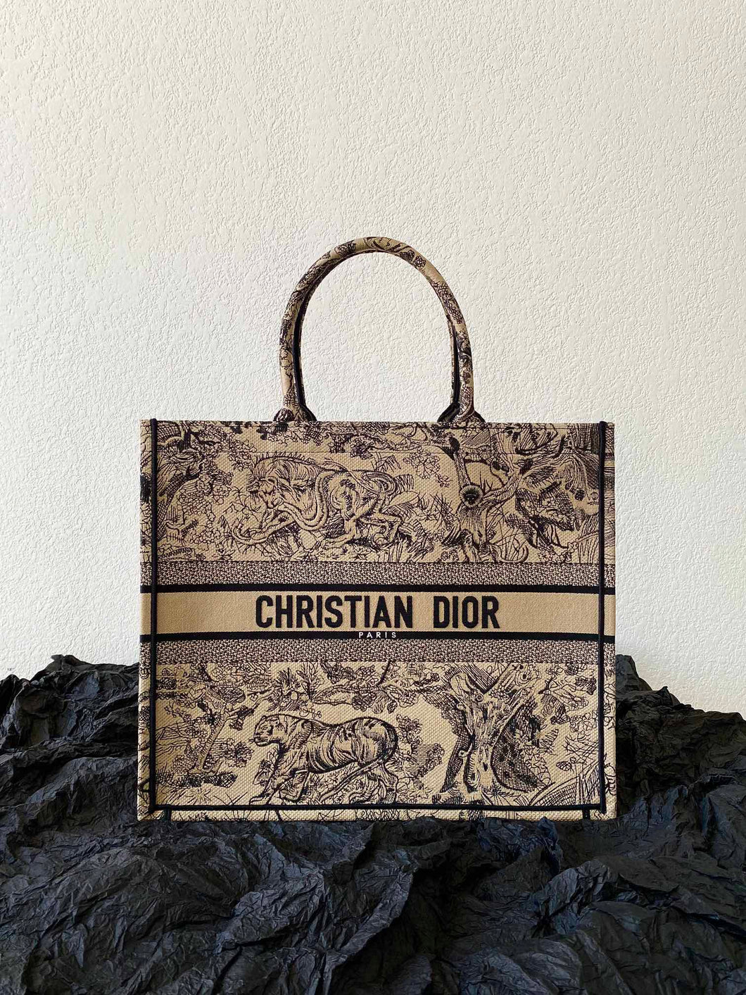 Christian Dior Book Tote Bag