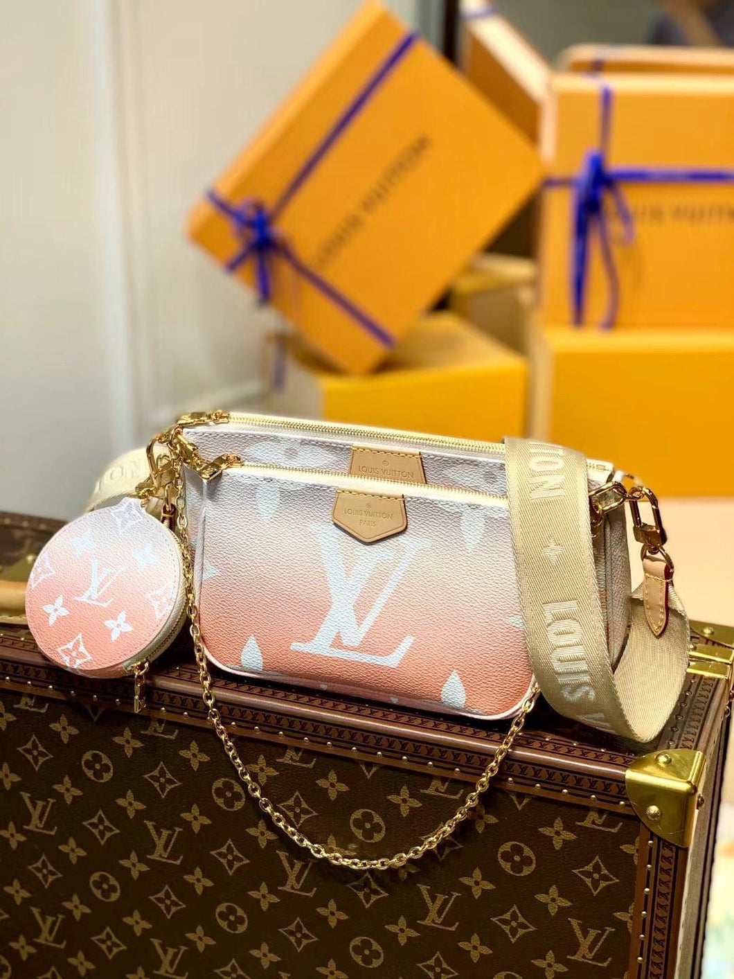 Louis Vuitton Multi Pochette Accessories Bag