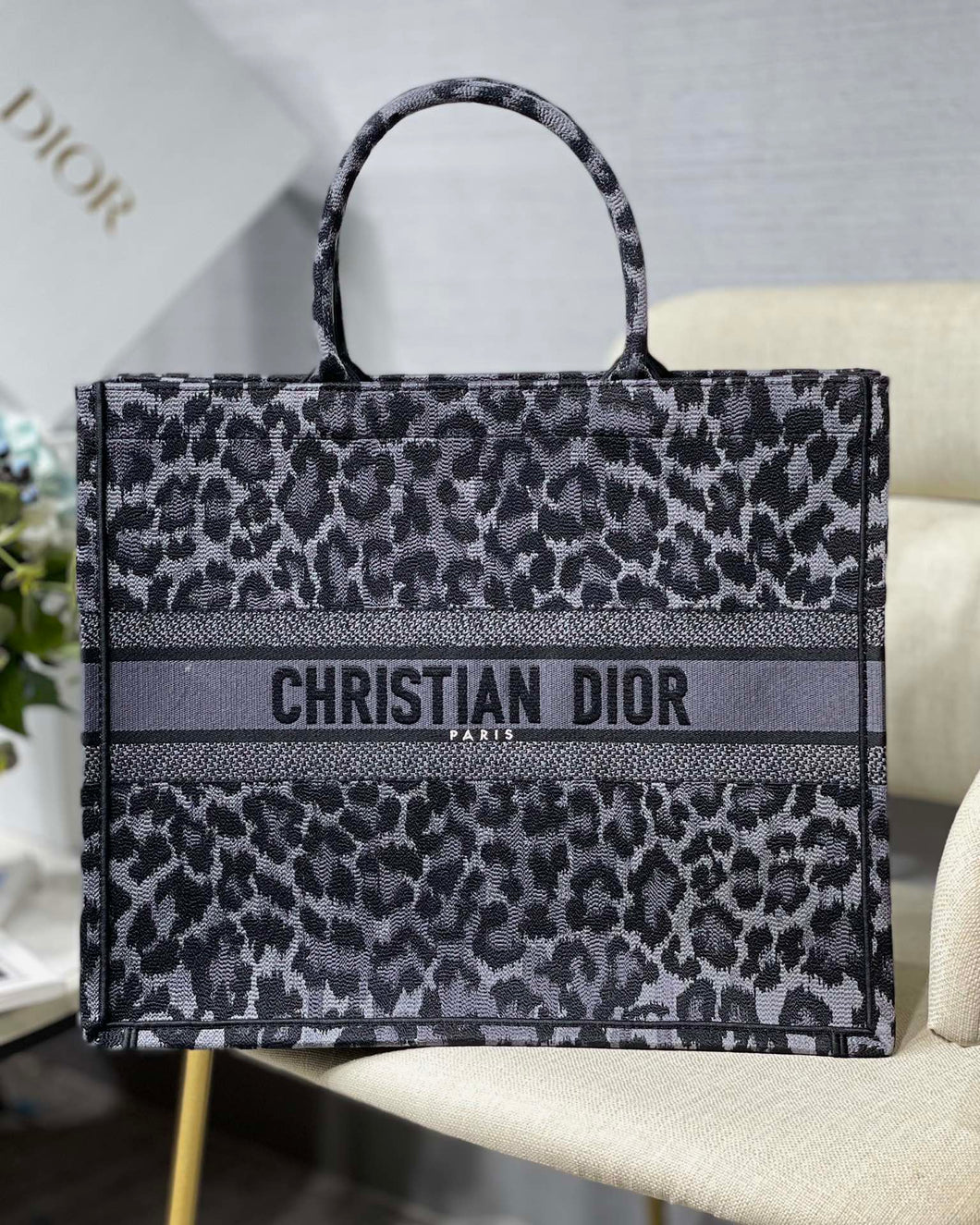 Christian Dior Book Tote Bag