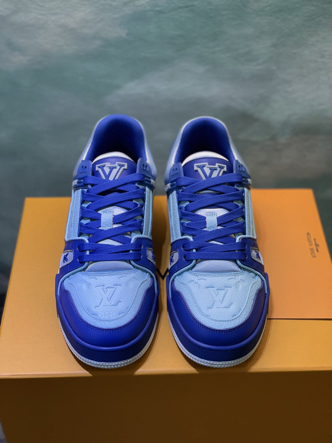 Louis Vuitton Trainer Sneakers